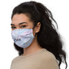Adjustable Face Mask in SNOW QUEEN